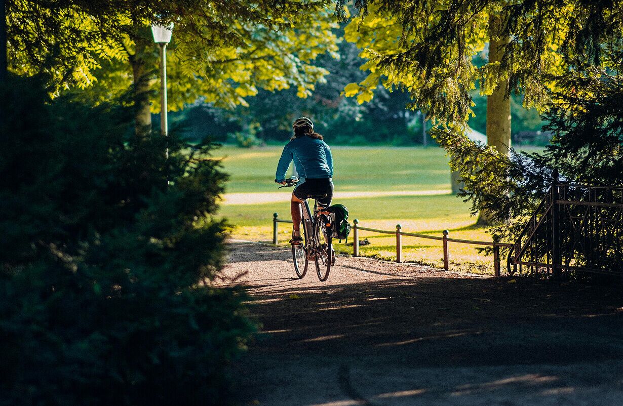 a person riding a bicycle on a path in a park