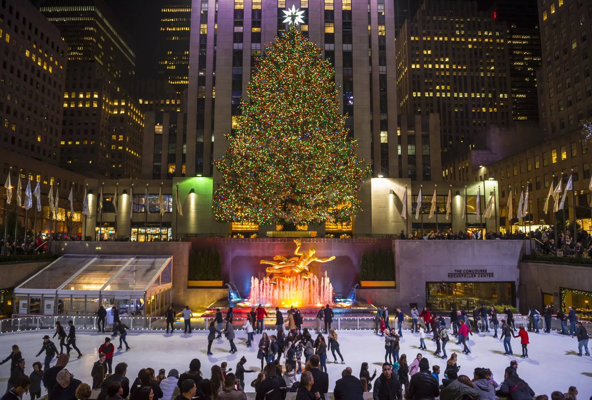 A large Christmas tree stands tall in a bustling city square at night, surrounded by ice skaters, a fountain, and skyscrapers.